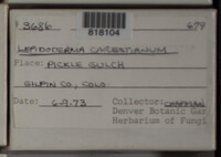 Image Associated With the Occurence